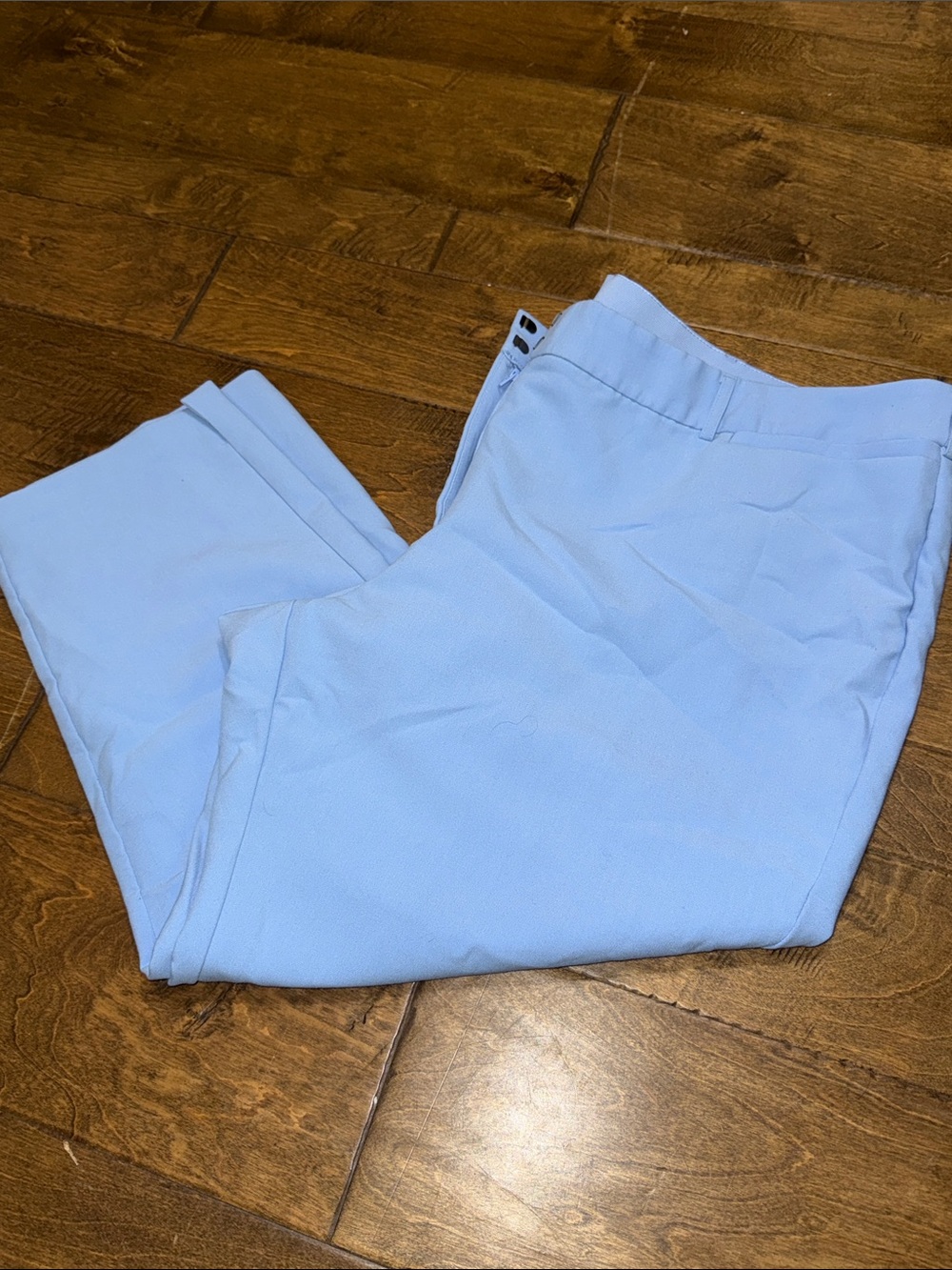 Lane Bryant Light Blue Women's Trousers